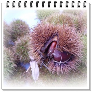 モンスターの正体は。。。