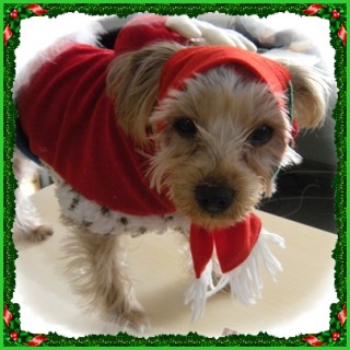 アン　サンタになる