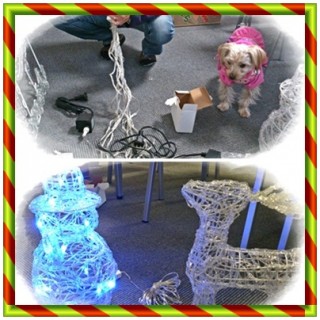 \(◎o◎)/! \(◎o◎)/!