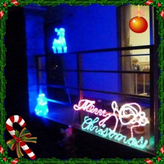 杜のイルミだワン