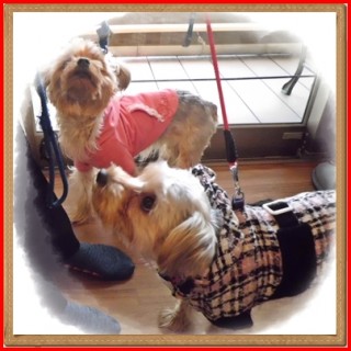 上を向いて歩こう