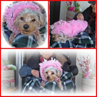 アンチャンさむうないかぁ？