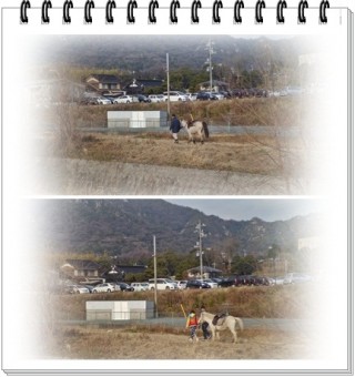 お馬さ～ん　風邪に気をつけてねぇ