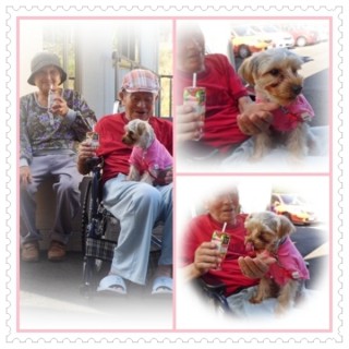 散歩の後は水分補給