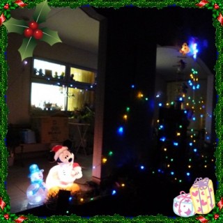 杜のイルミだワン▽・ｗ・▽