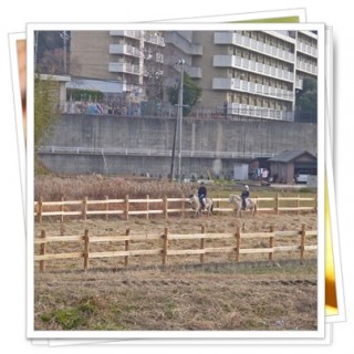 乗りたぁい！！！