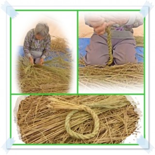 これはあたしの首輪？