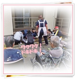 芋はおりますか? 芋はおりますか?