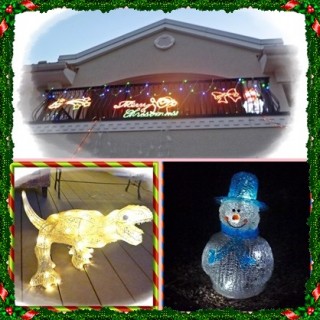 施設長似の恐竜出現！